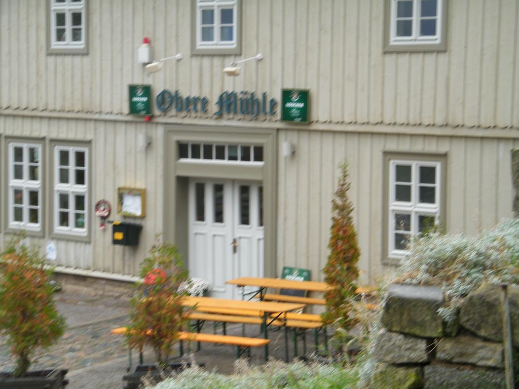 Obere Muehle Hotel Cattenstedt Buitenkant foto